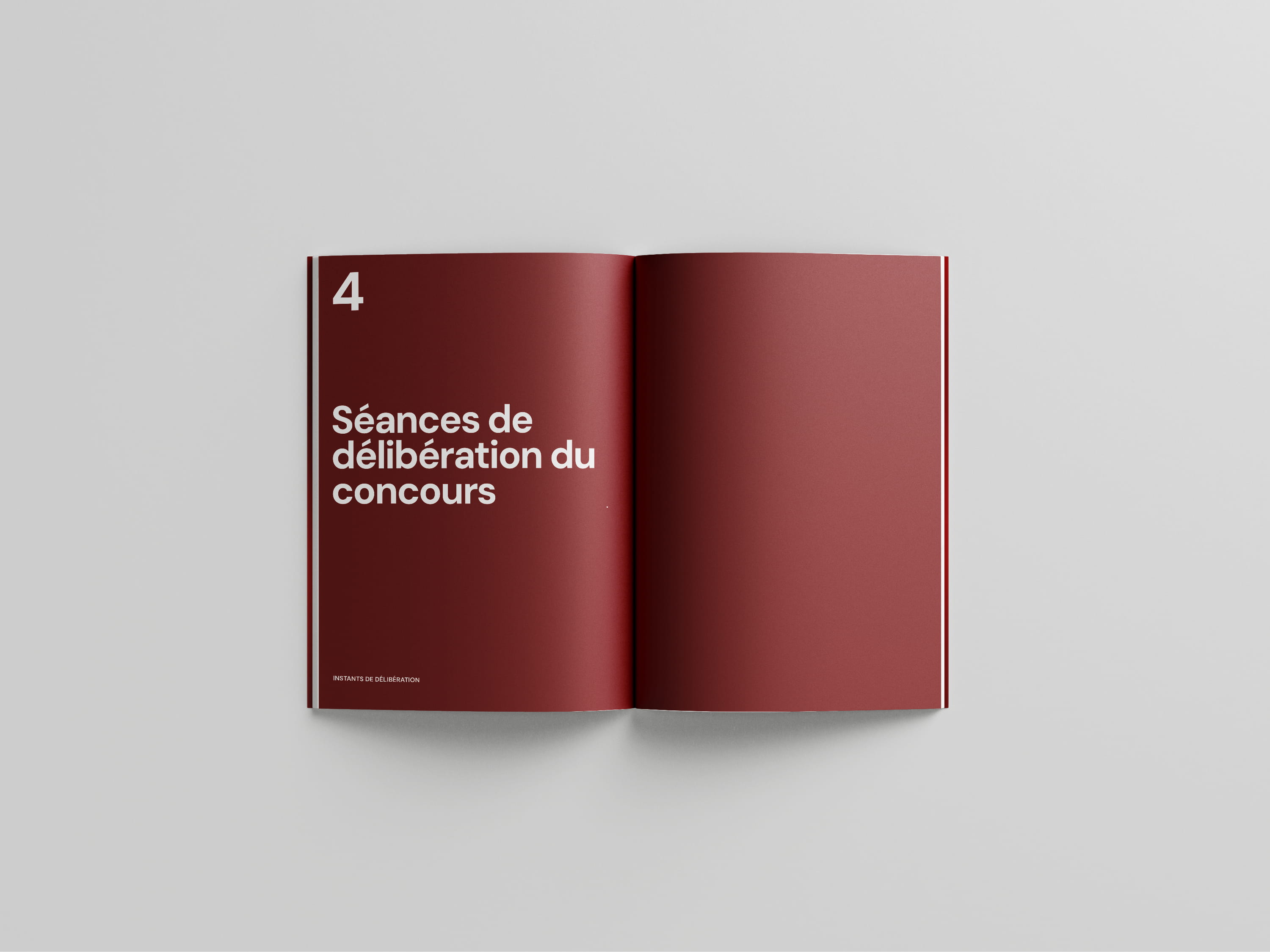 Project DASP 2025 Catalogue