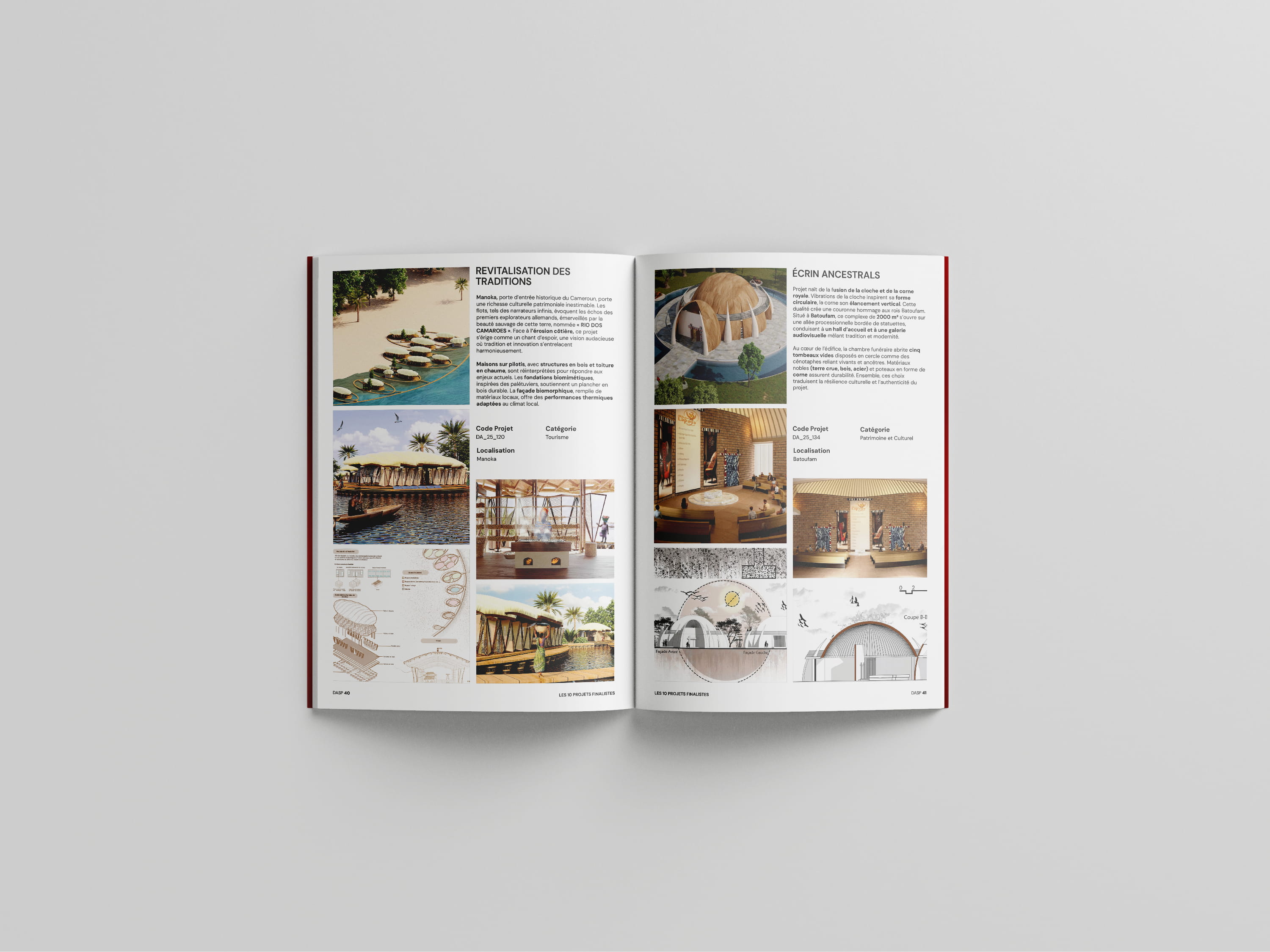 Project DASP 2025 Catalogue