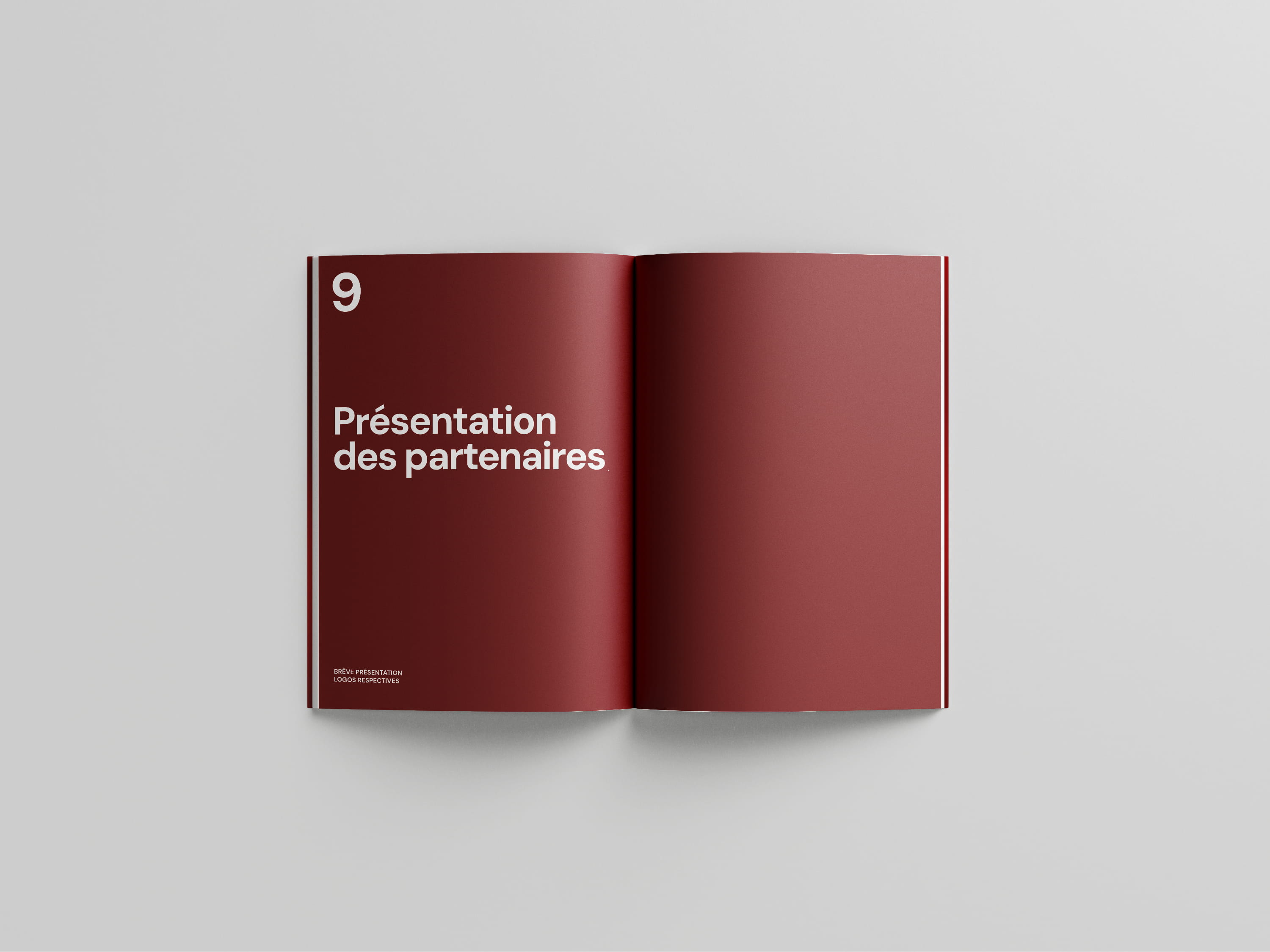 Project DASP 2025 Catalogue