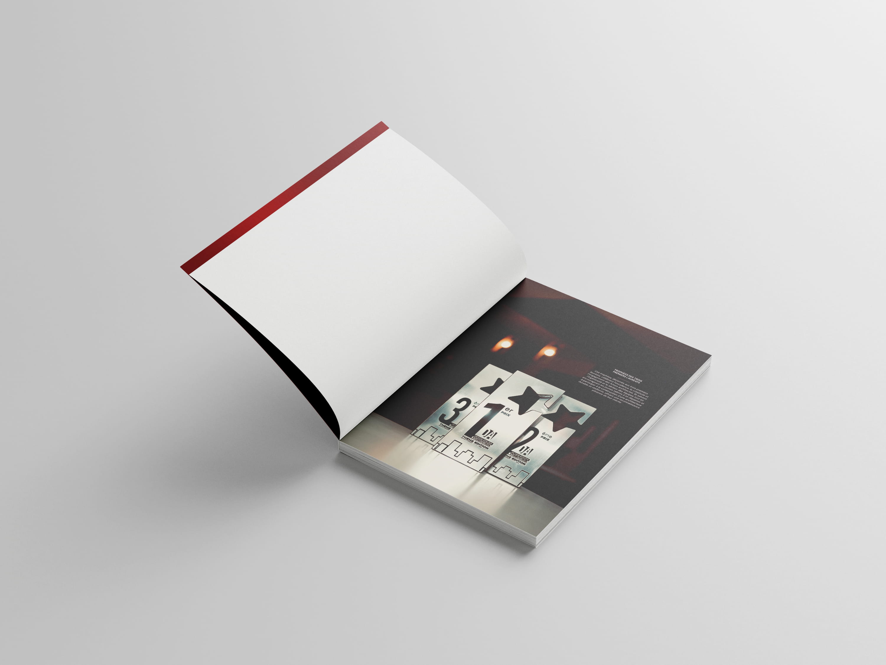 Project DASP 2025 Catalogue