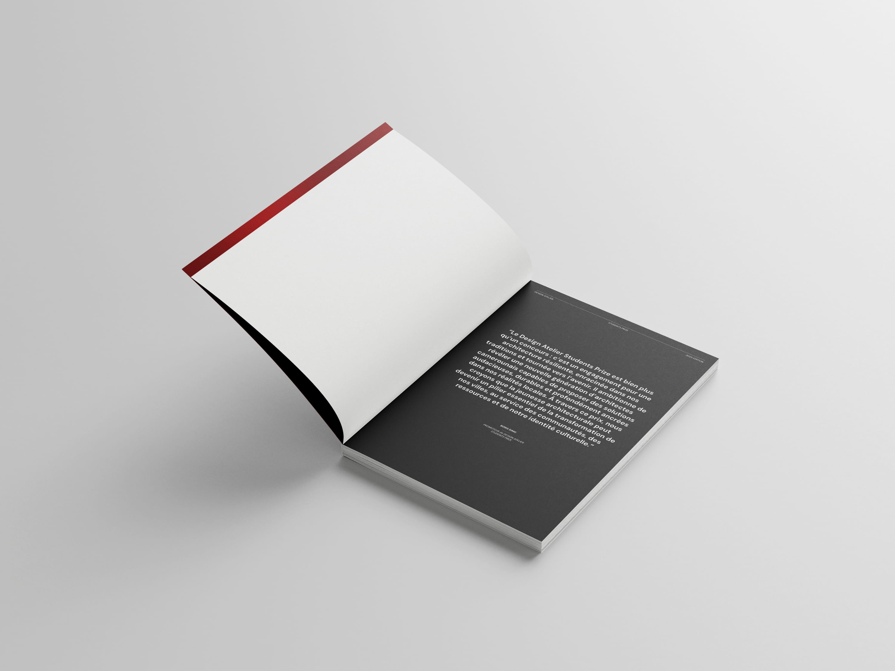 Project DASP 2025 Catalogue